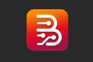 #4444 Borneo Schematics Activation (2 Users / 12 Months)